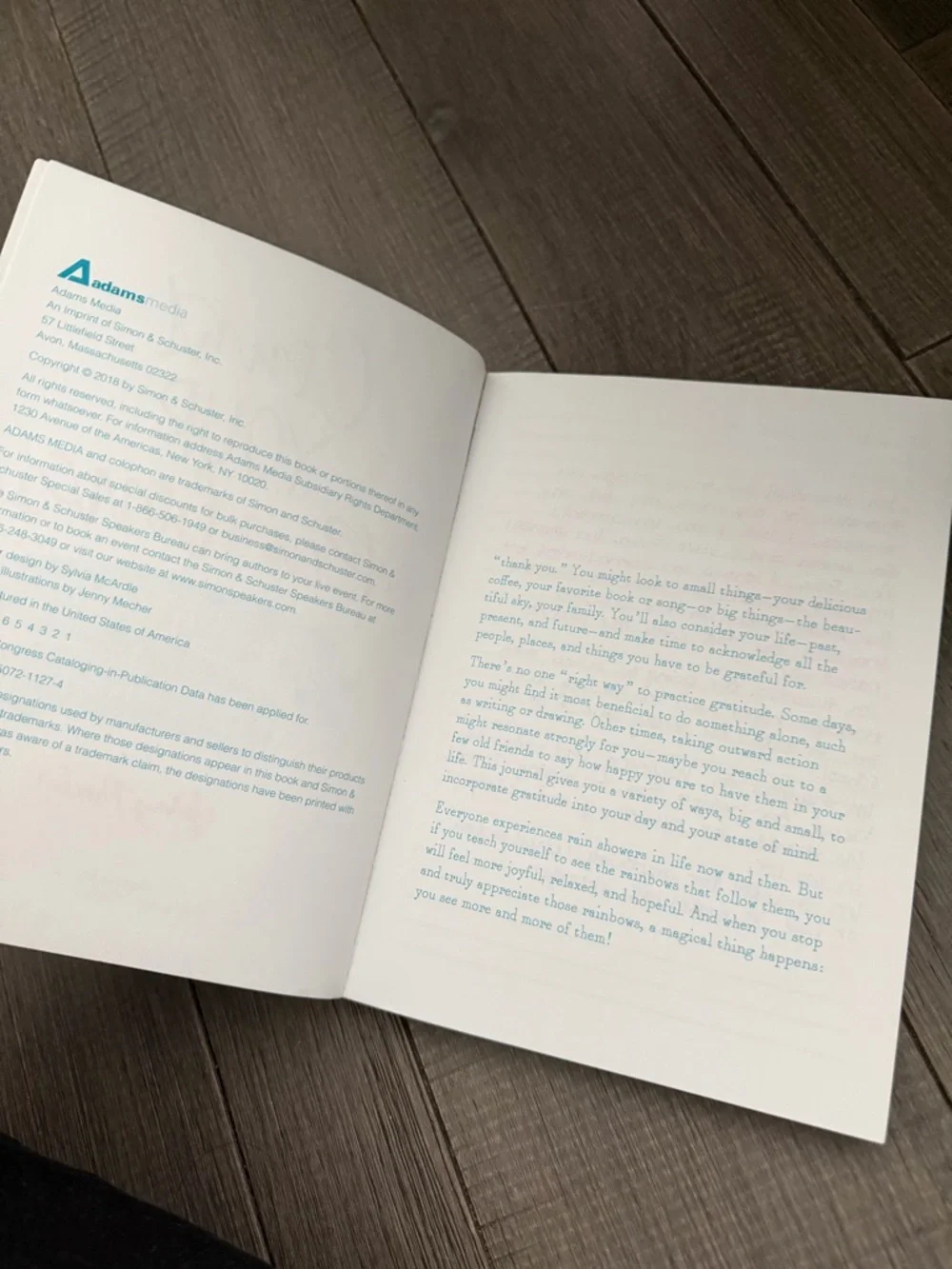 Count your rainbows a gratitude journal